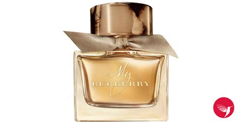 my burberry notes